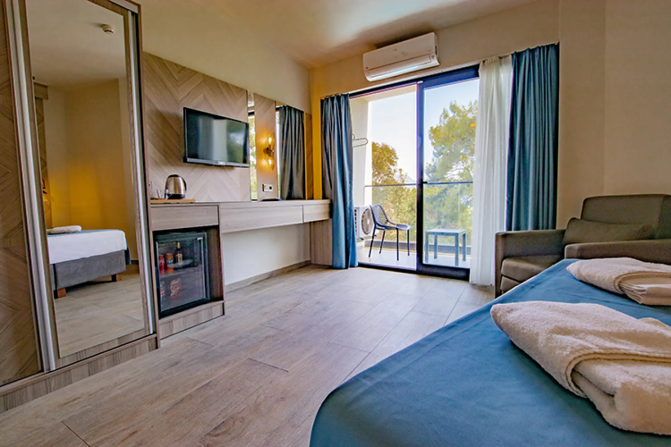 Deluxe Twin room with land view