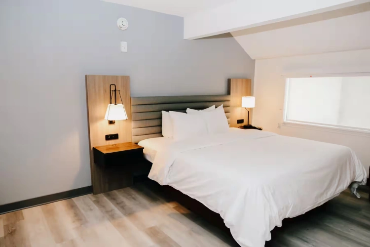 Deluxe Penthouse Suite