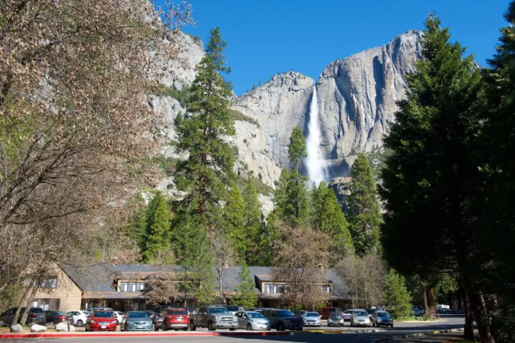 Yosemite Valley Lodge photo 19
