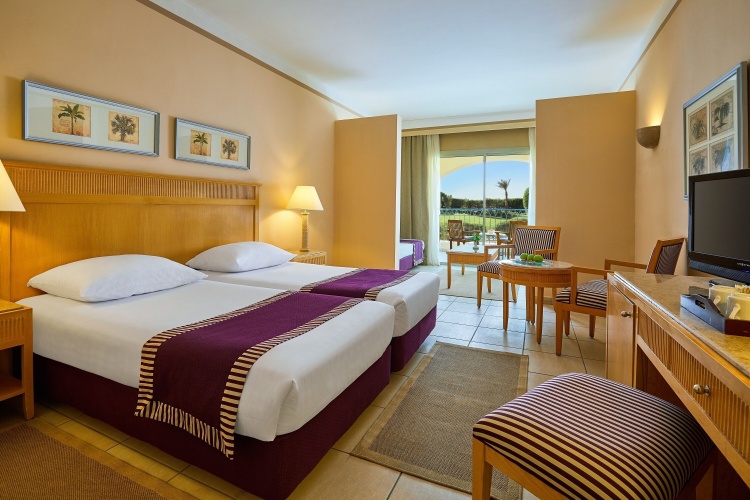 Superior Twin room with garden view