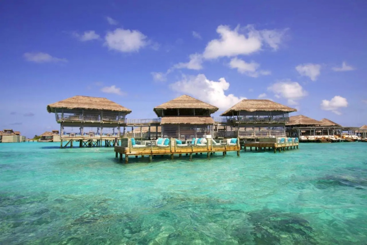Six Senses Laamu photo 18