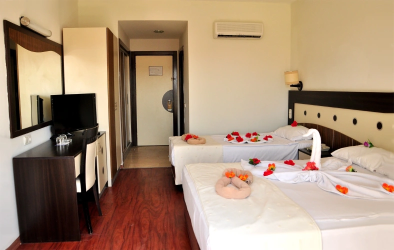 Large Standard room