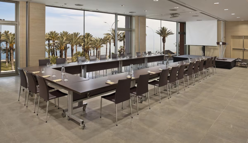 Melia Costa Del Sol photo 38