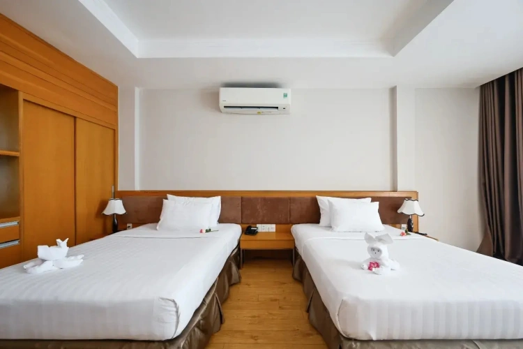 Premium Deluxe Twin room with city view