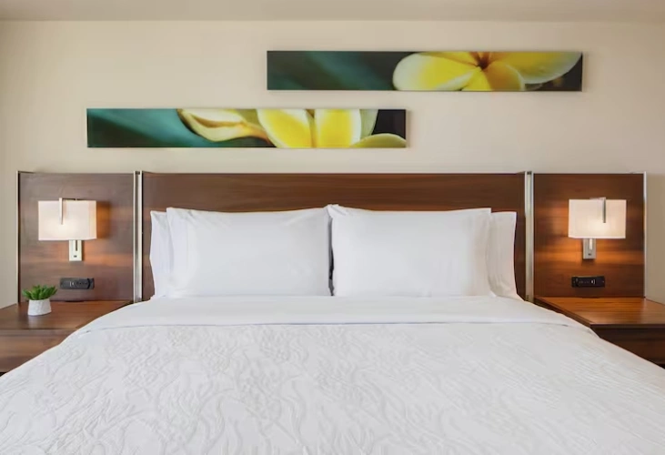 1 Bedroom Double Suite with partial ocean view