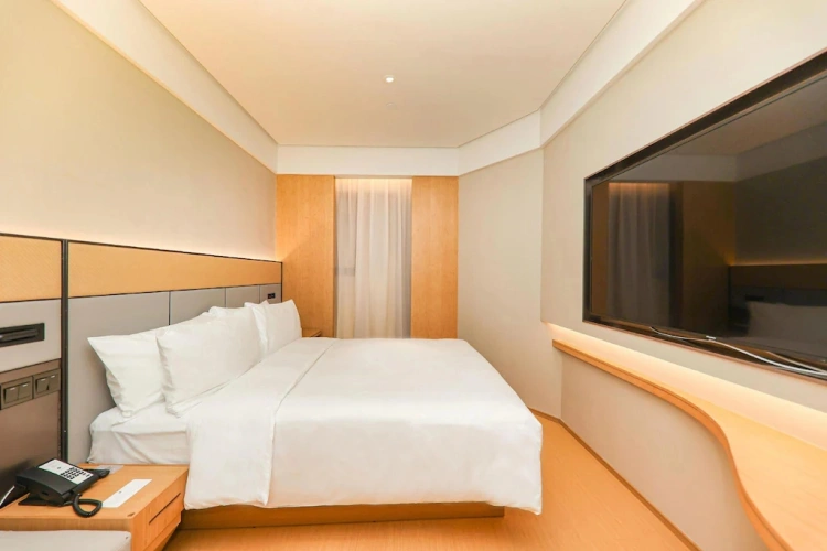 Standard Dark Double room