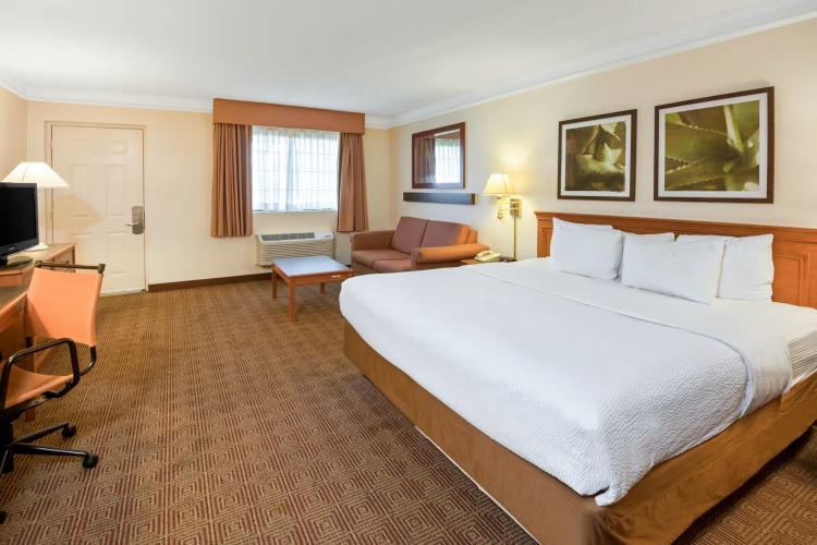Deluxe Double Suite