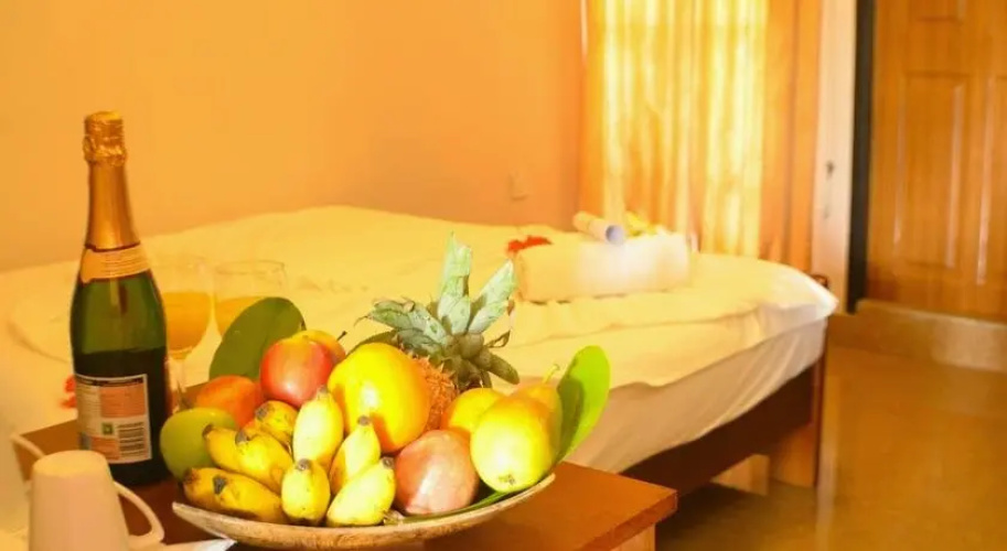 Alaya Inn