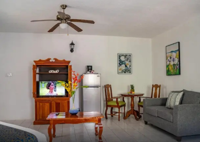 Junior Suite with garden view