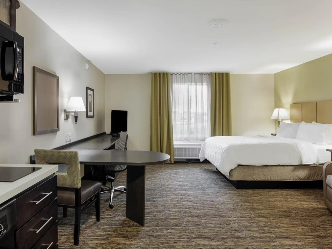 Double Studio Suite