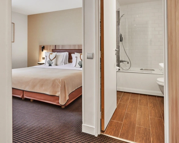Deluxe room