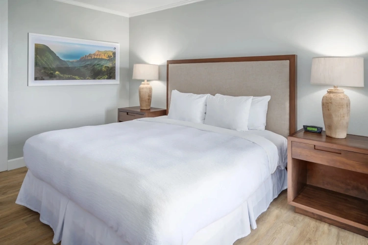 Premium Accessible Double room Pool Ocean View