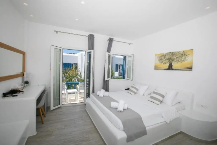 Deluxe Double room with garden view