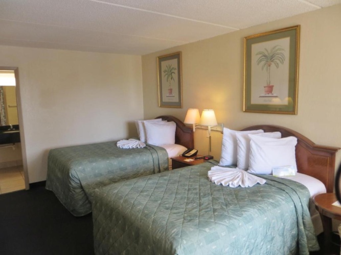 Twin Studio Suite