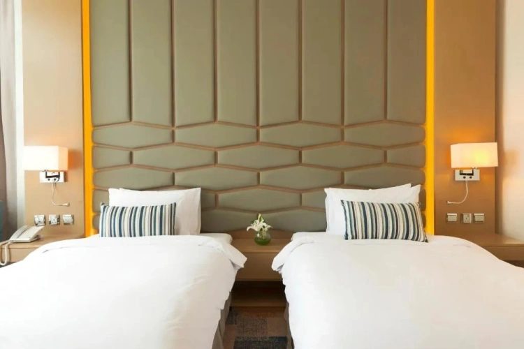 Superior Twin room with city view