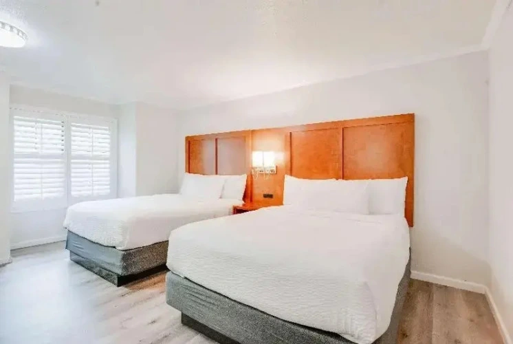 Twin room