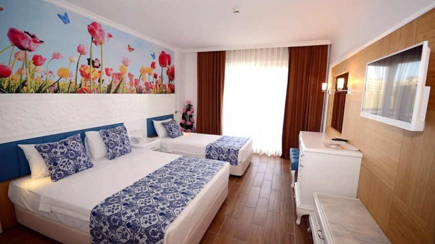 Disabled Triple room