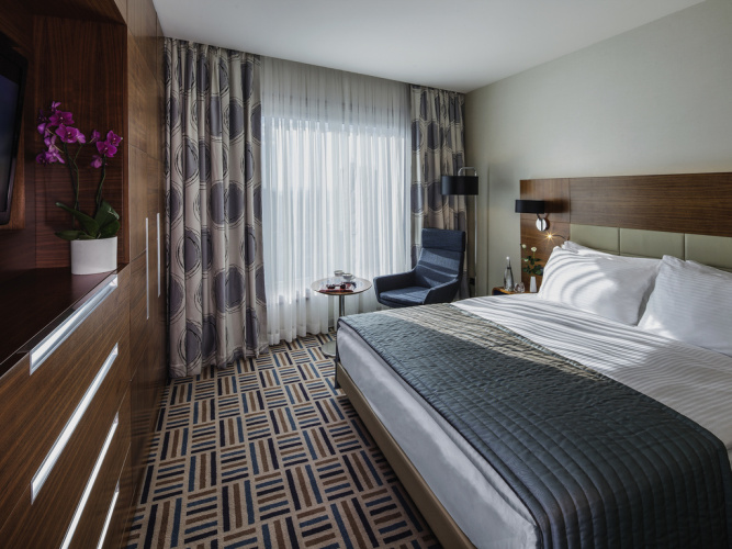 Deluxe Double Suite