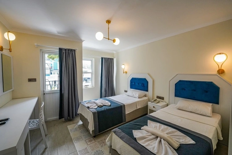Standard Twin room with mountain and garden view