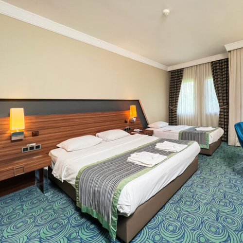 Large Standard room