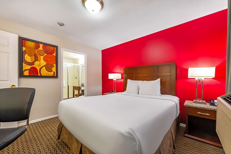 1 Bedroom Suite