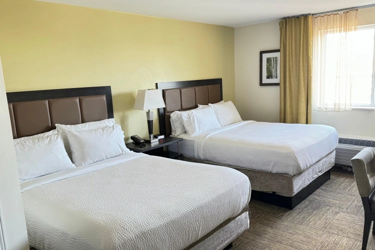 Twin Studio Suite