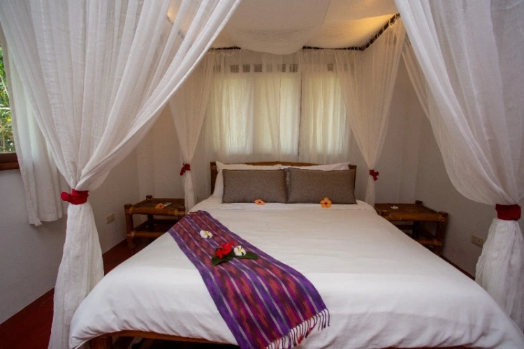 Mandala House