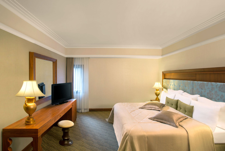 Executive Family Double Suite
