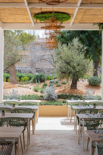 Marsenses Rosa Del Mar Hotel & Spa photo 28