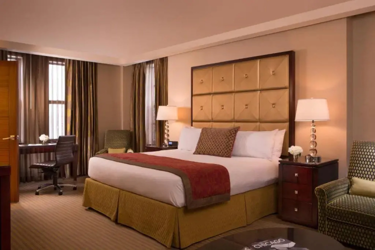 Millennium Hotel Knickerbocker Chicago