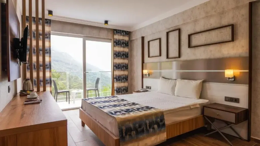 Standard Double room with balcony and with sea view