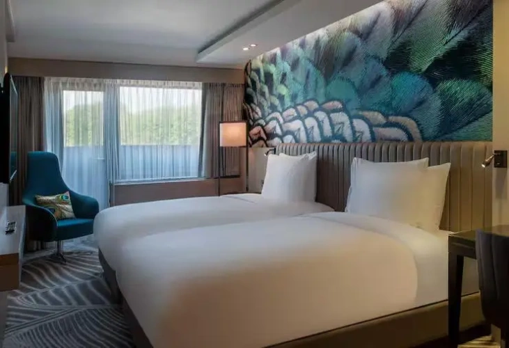 Deluxe Twin room with balcony