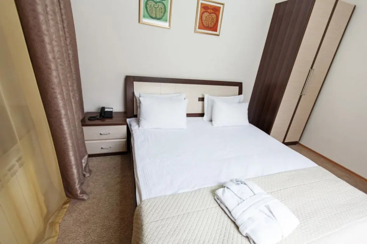 Фотография номера гостиницы Алма