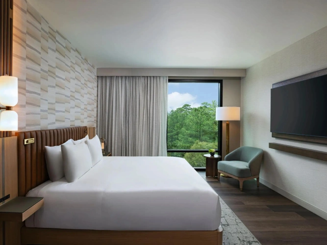 Premium Accessible Double Suite