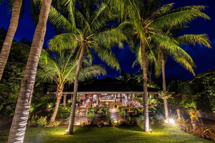 Barcelo Coconut Island photo 25
