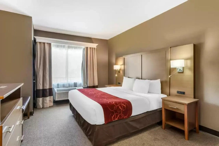 1 Bedroom Double Suite