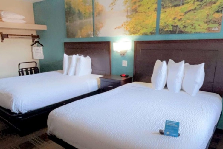 Pet Friendly Twin room
