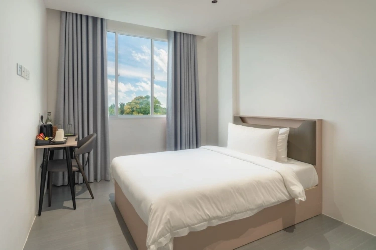 Single Studio Room