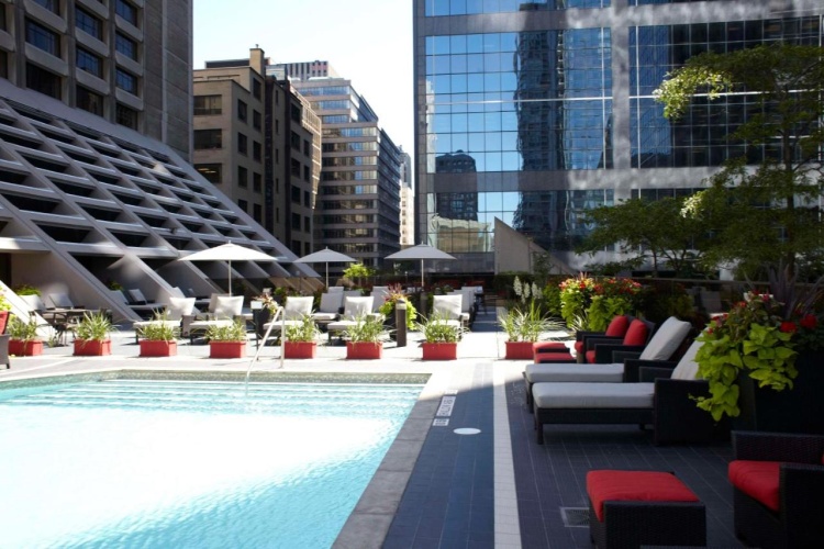 Hilton Toronto photo 43