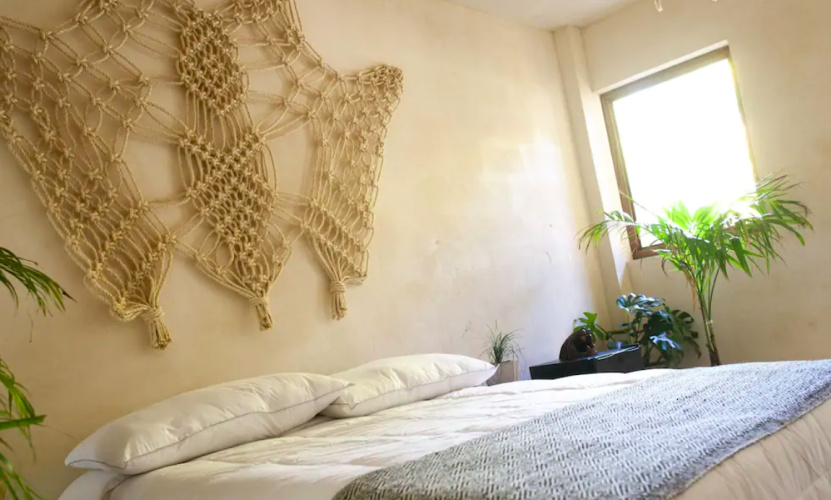 Jungle Double room