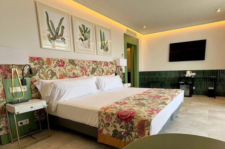 Superior Double room with river view