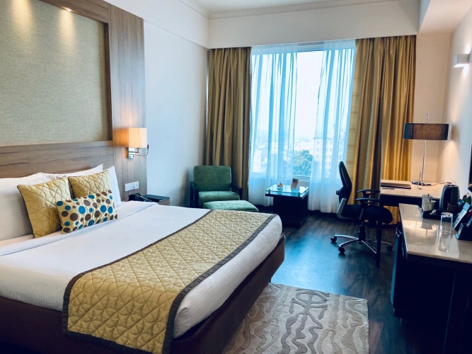 Executive Double room