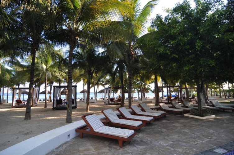 Oasis Palm photo 29