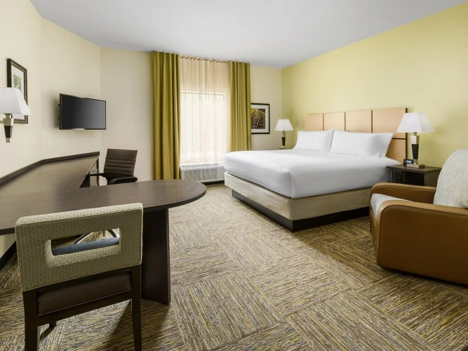 Double Studio Suite