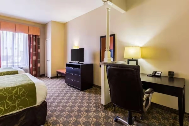 1 room Twin Suite
