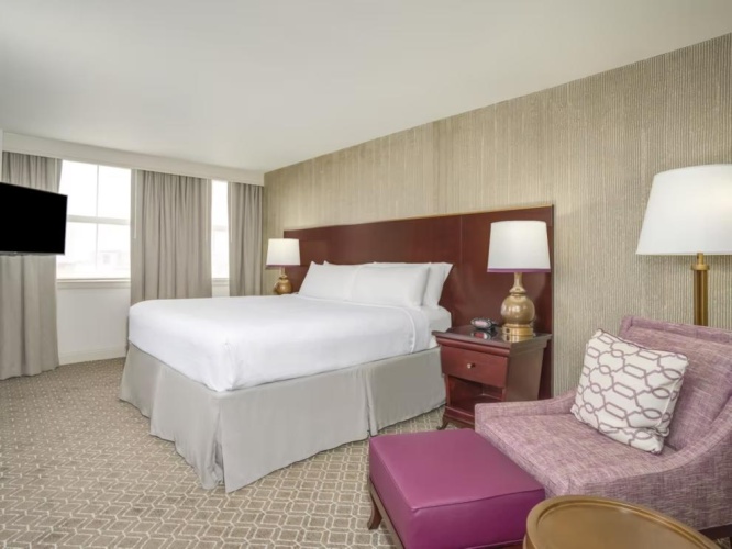 1 Bedroom Suite