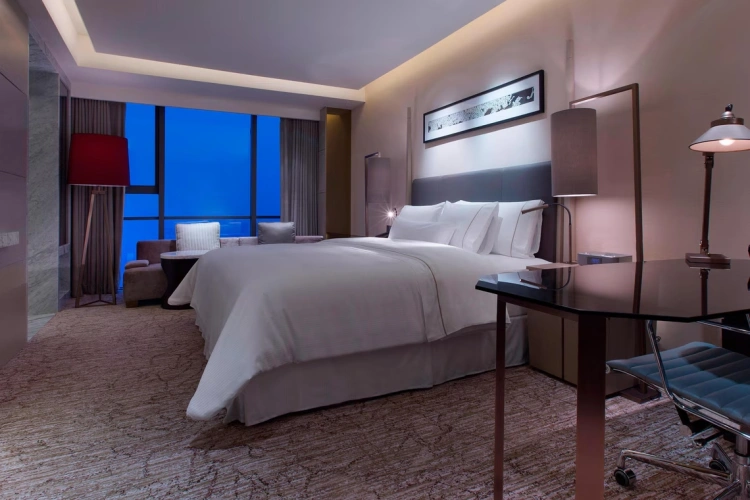 Guest Double Club room