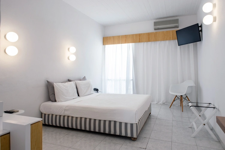 Standard Double room with sea view