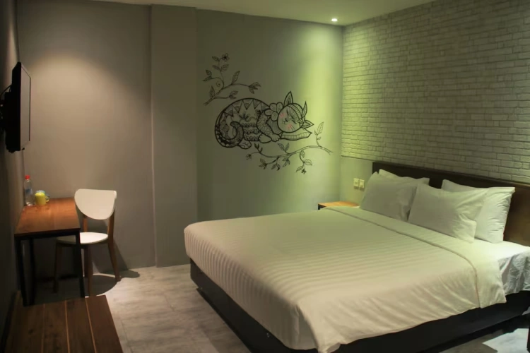 Starry Nite Double room