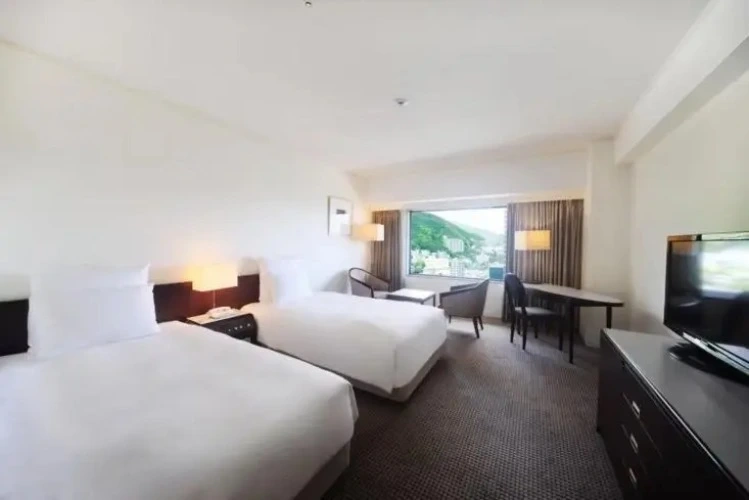 Premium Twin room with city view